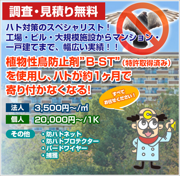 画像|ハト対策のスペシャリスト!ハトが約1ヶ月で寄り付かなくなる!|アント