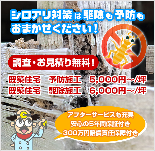 画像|シロアリ対策は駆除も予防もおまかせください!|アント